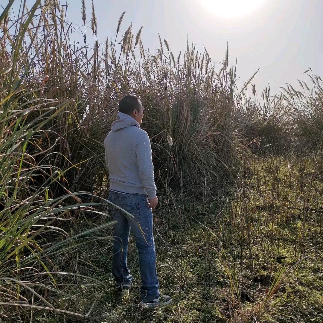 追梦赤子心🇨🇳