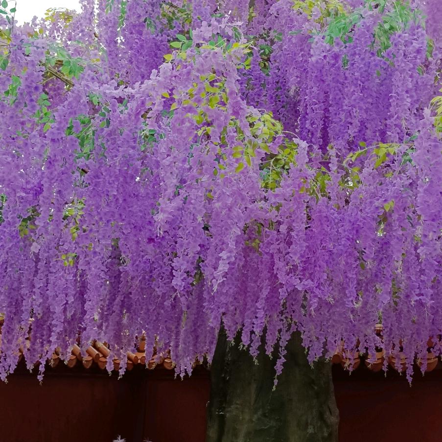 封❤️锁🔒爱，从此无爱