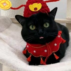 小多啦
