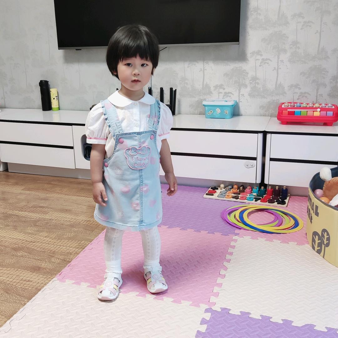 一 叶兰