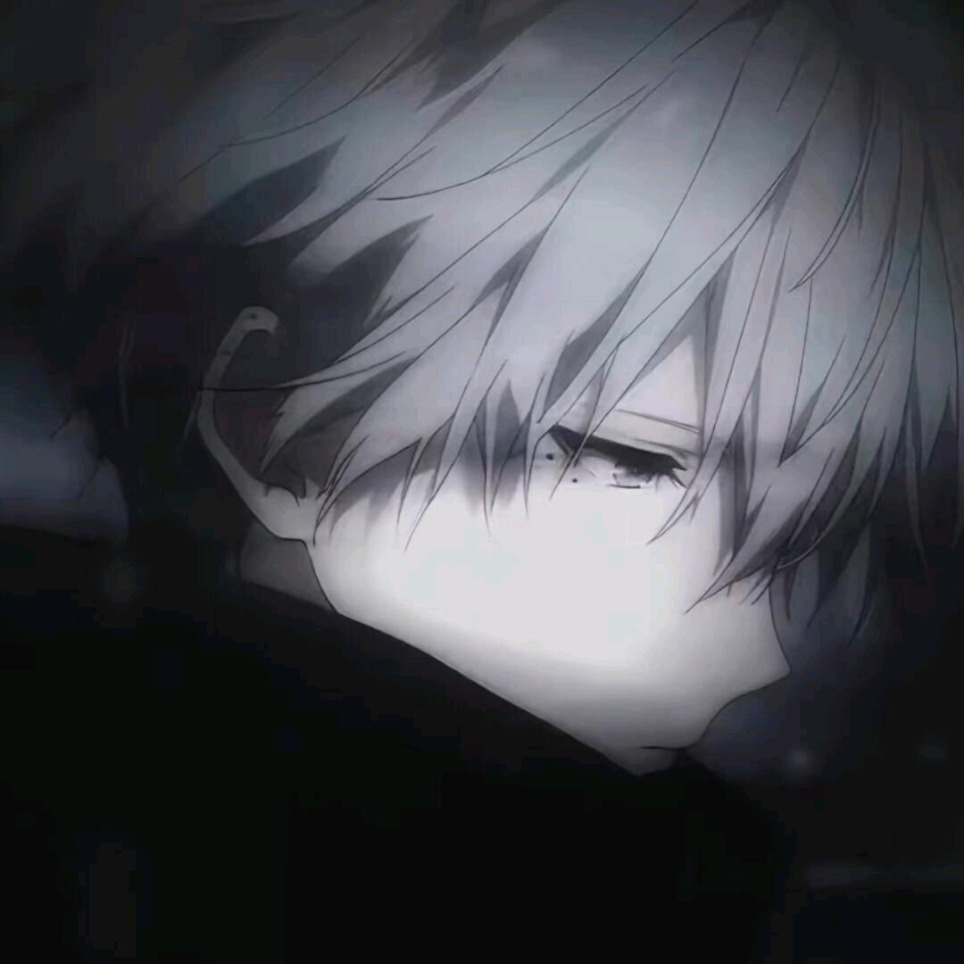 云小蛰