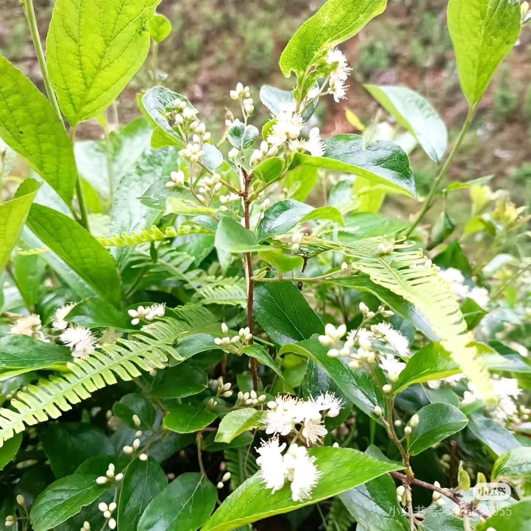 格式化....