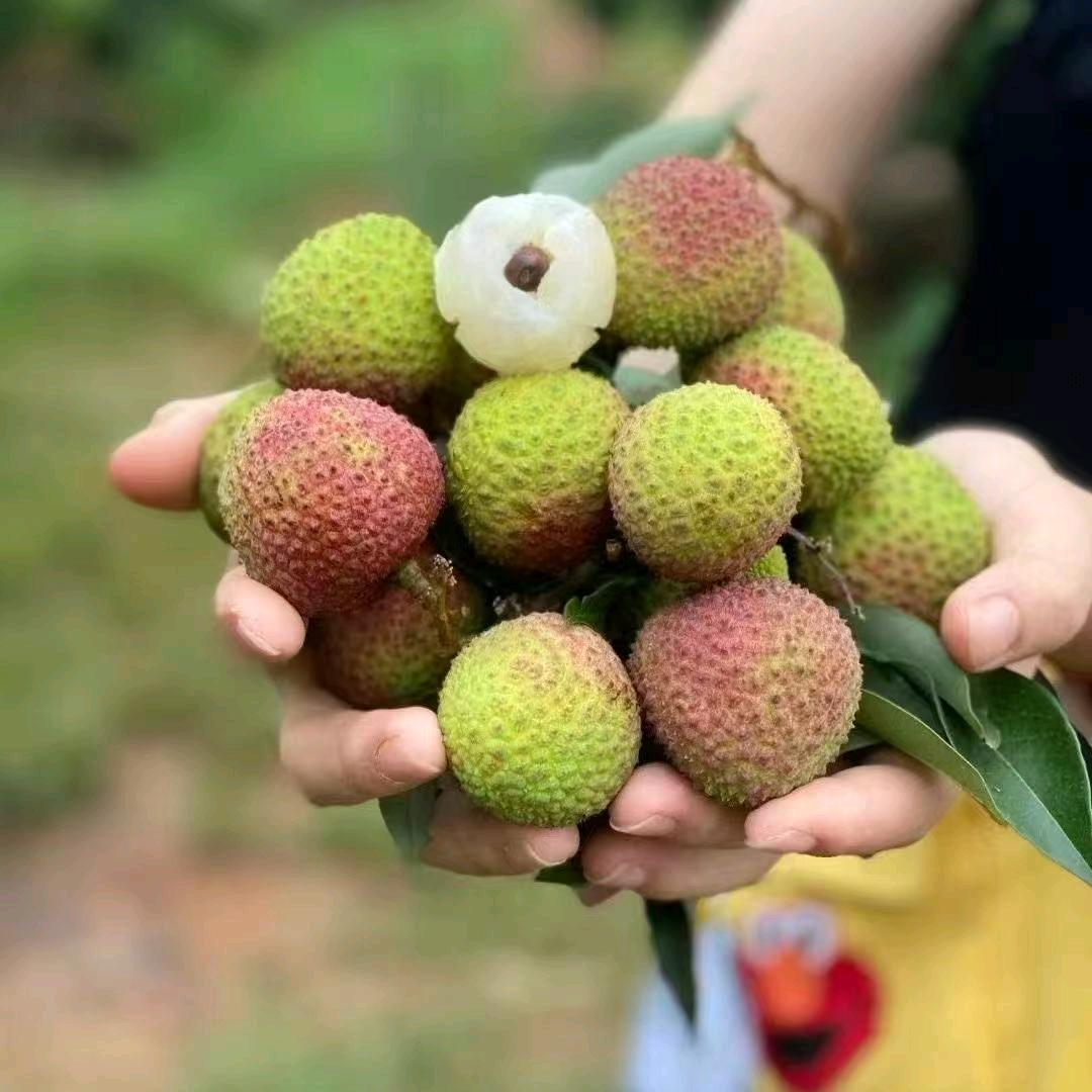 晶晶晶鲜果优品店