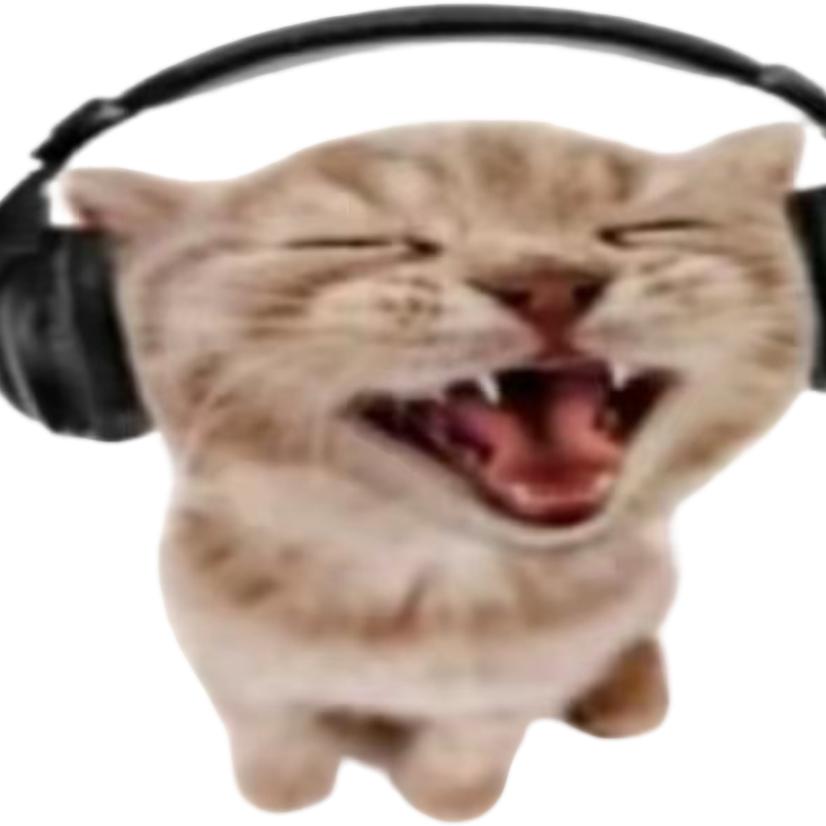 杂圈入.阿离😏