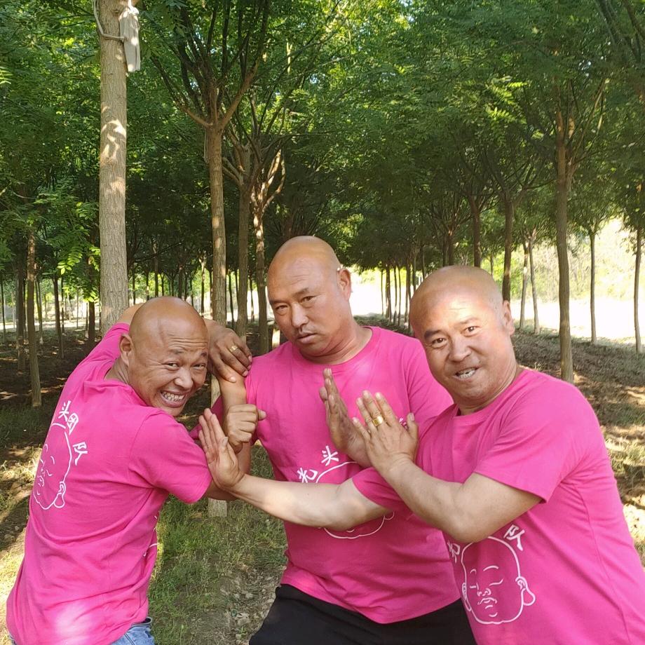 光头团队口琴子
