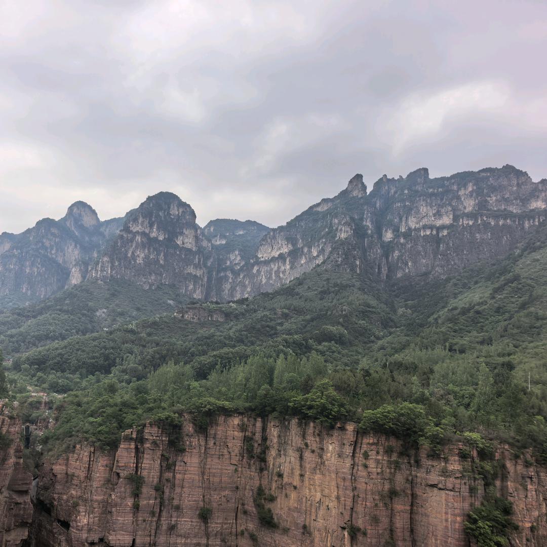 🇻🇳