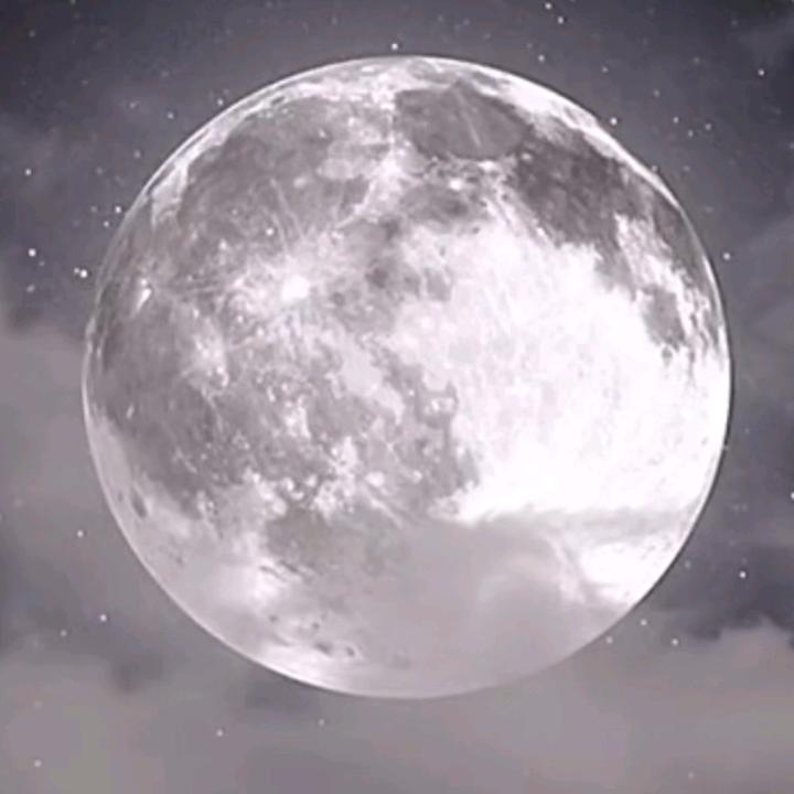明月皎洁照清夜，仰望星空心自闲。