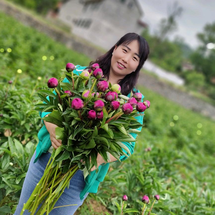 💅我想静静🌻