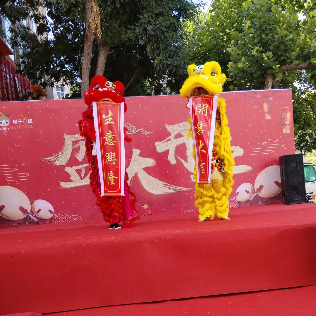 河南清丰大韩村舞龙舞狮团