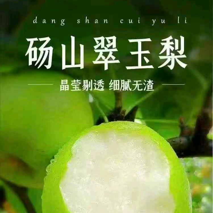 好吃的梨谱