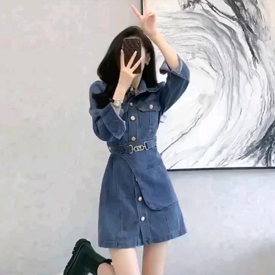 燕尾蝶