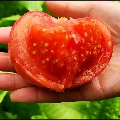 漳州泷泽旺农业科技有限公司