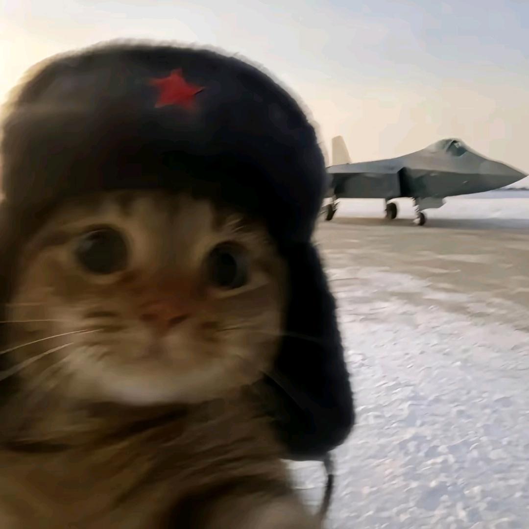 言辰