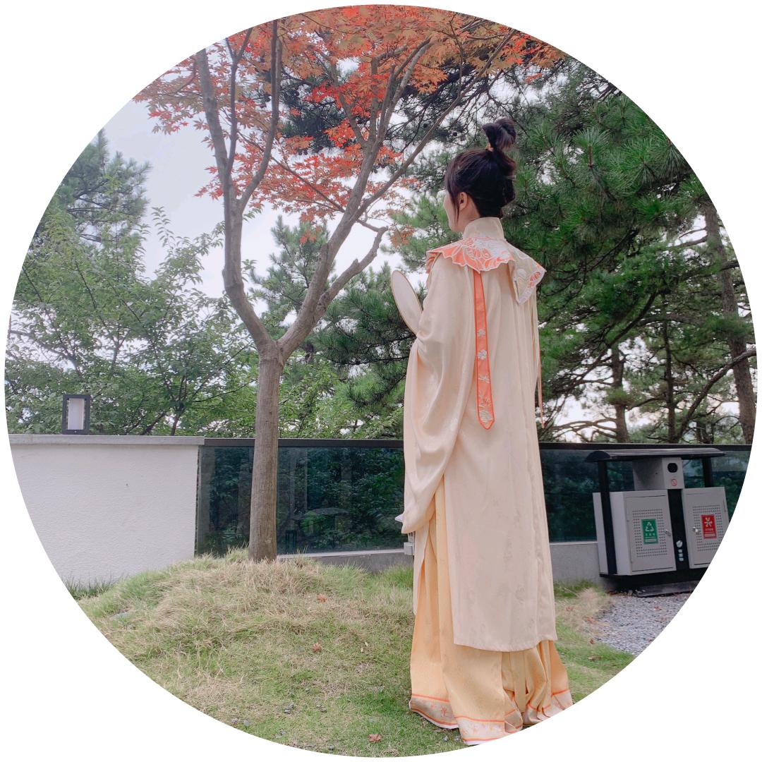 🔅大菜菜的菜菜