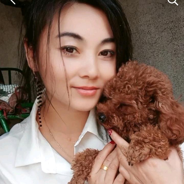 杨丽