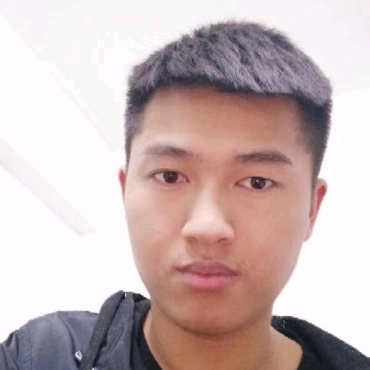 网红老木在努力