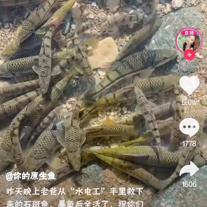 兄弟情