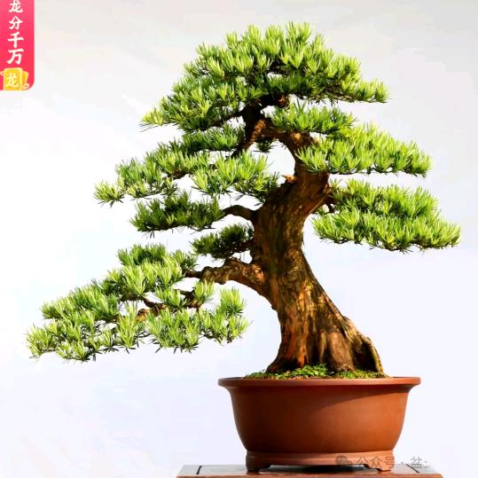 有缘珍惜