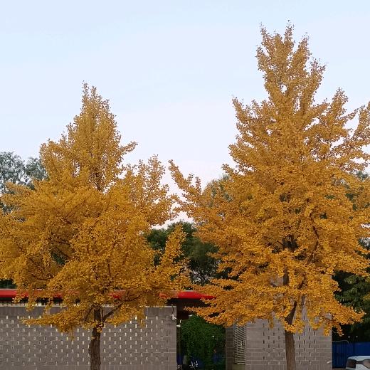 熊大宝宝👶🏻