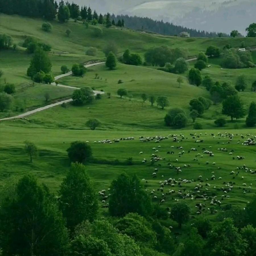 ꕥ᭄多财💞多亿ꦿᩚ࿐