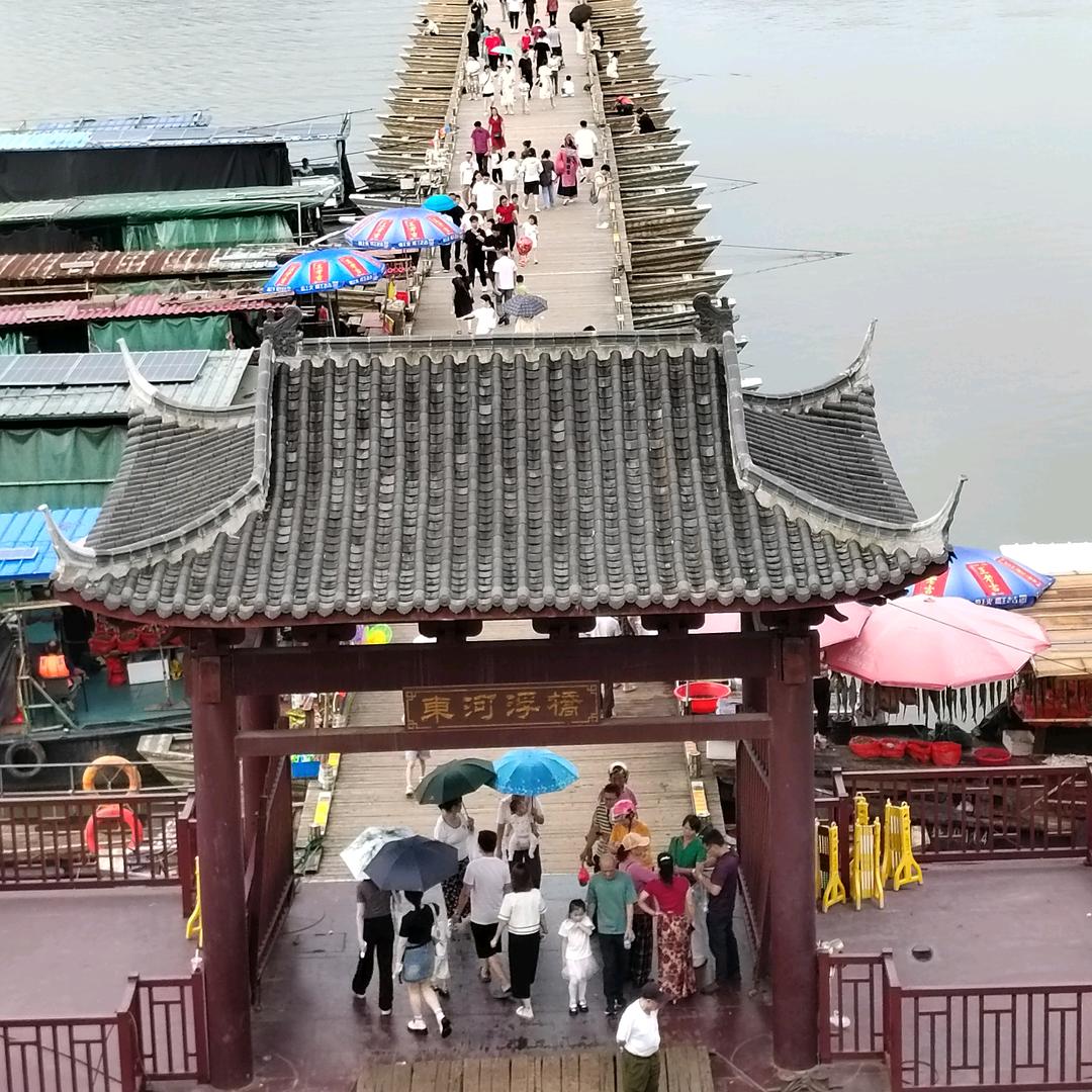 罗密欧与猪过夜