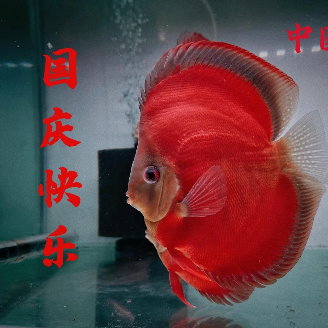 御彩坊精品七彩