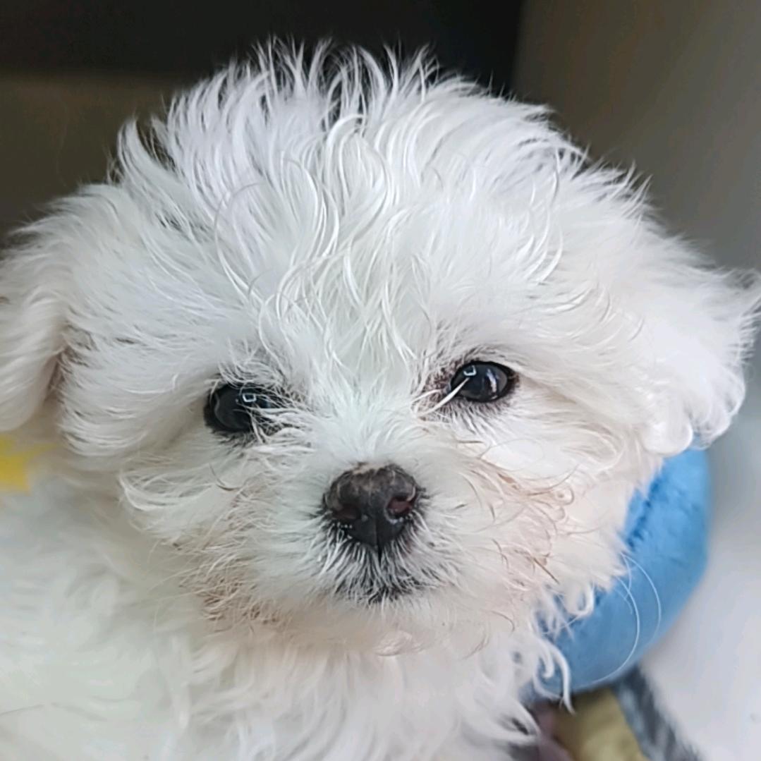 ♠️¹²¹⁸李逍遥ᴿ★🖤