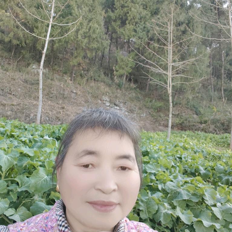 翠翠姐