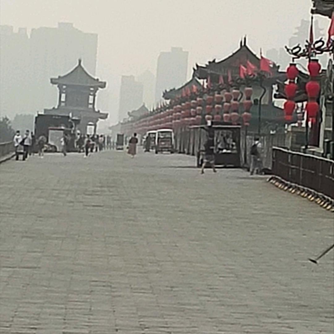 情一动心就痛