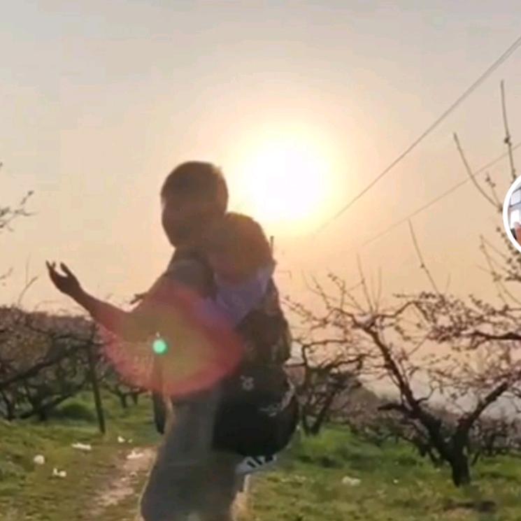 《无花草》🌾
