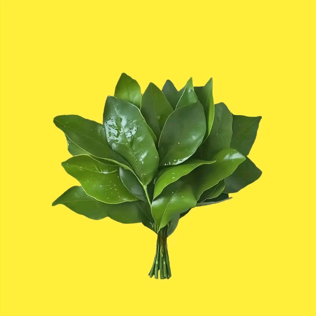 丹丹爱喝茶