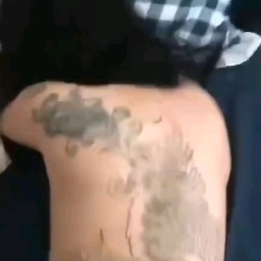 小八哥