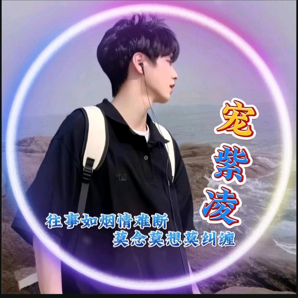 ✎﹏💞ℒᎭℯ凌潇ꦿ᭄࿐『独宠紫凌』