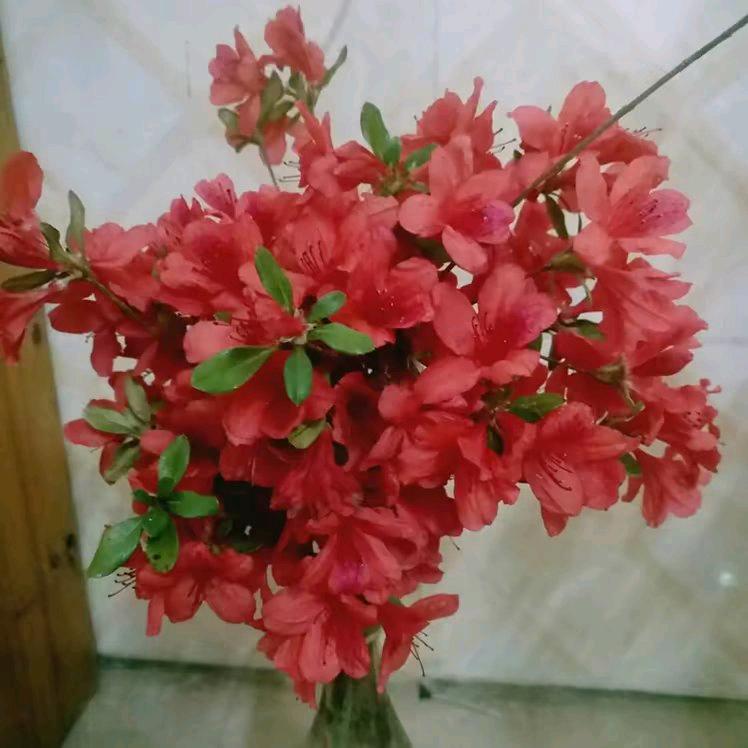 木子李