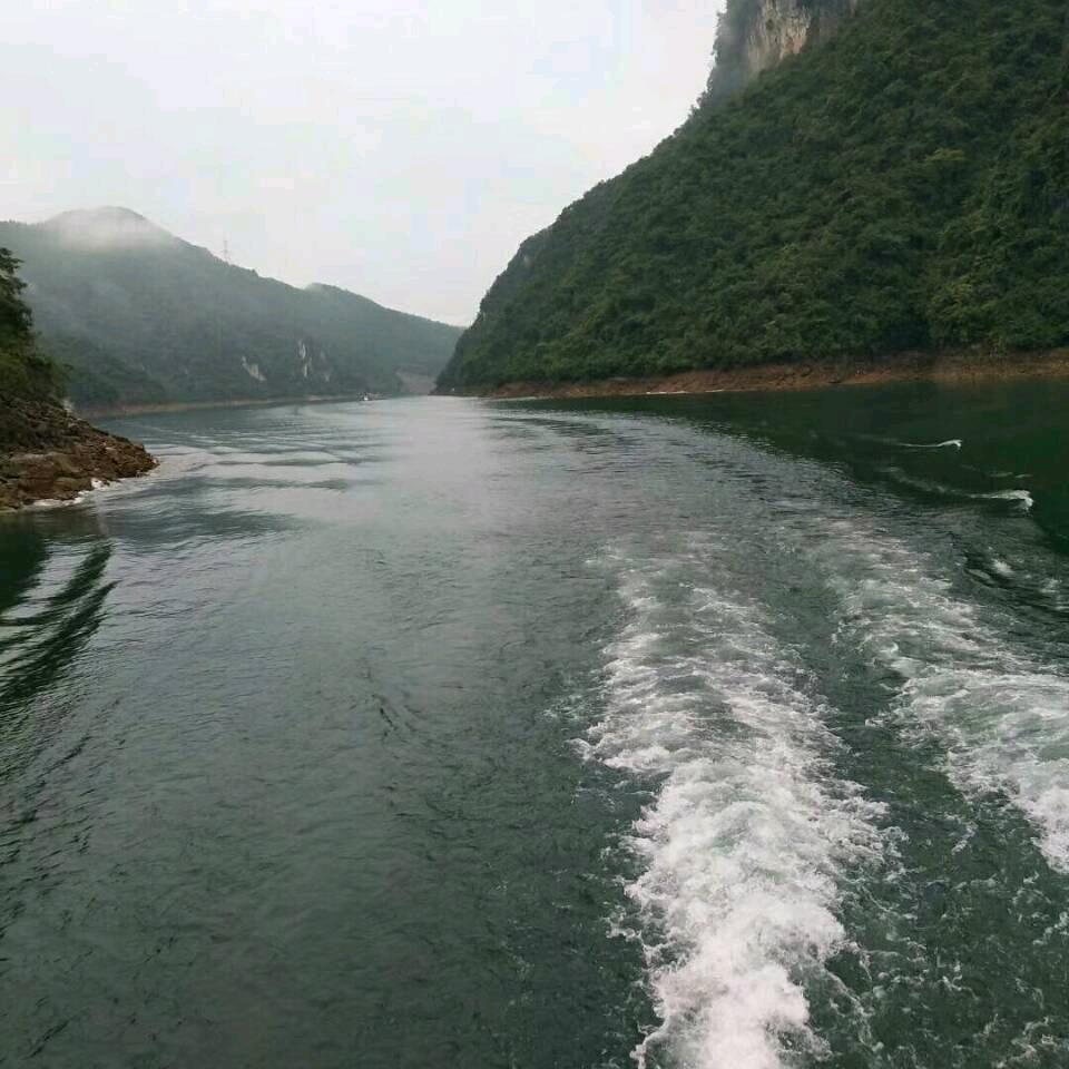 养殖哥