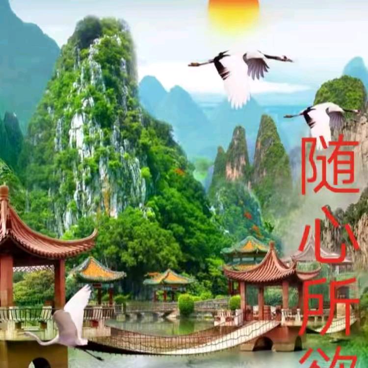 随心所欲❤