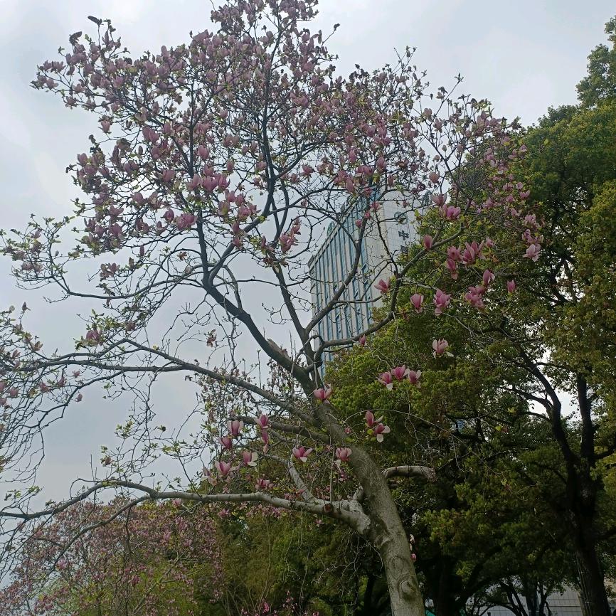 平凡
