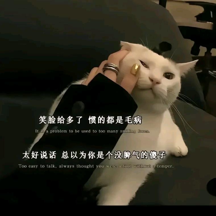 做一个绝情的小女子（拒绝私聊）