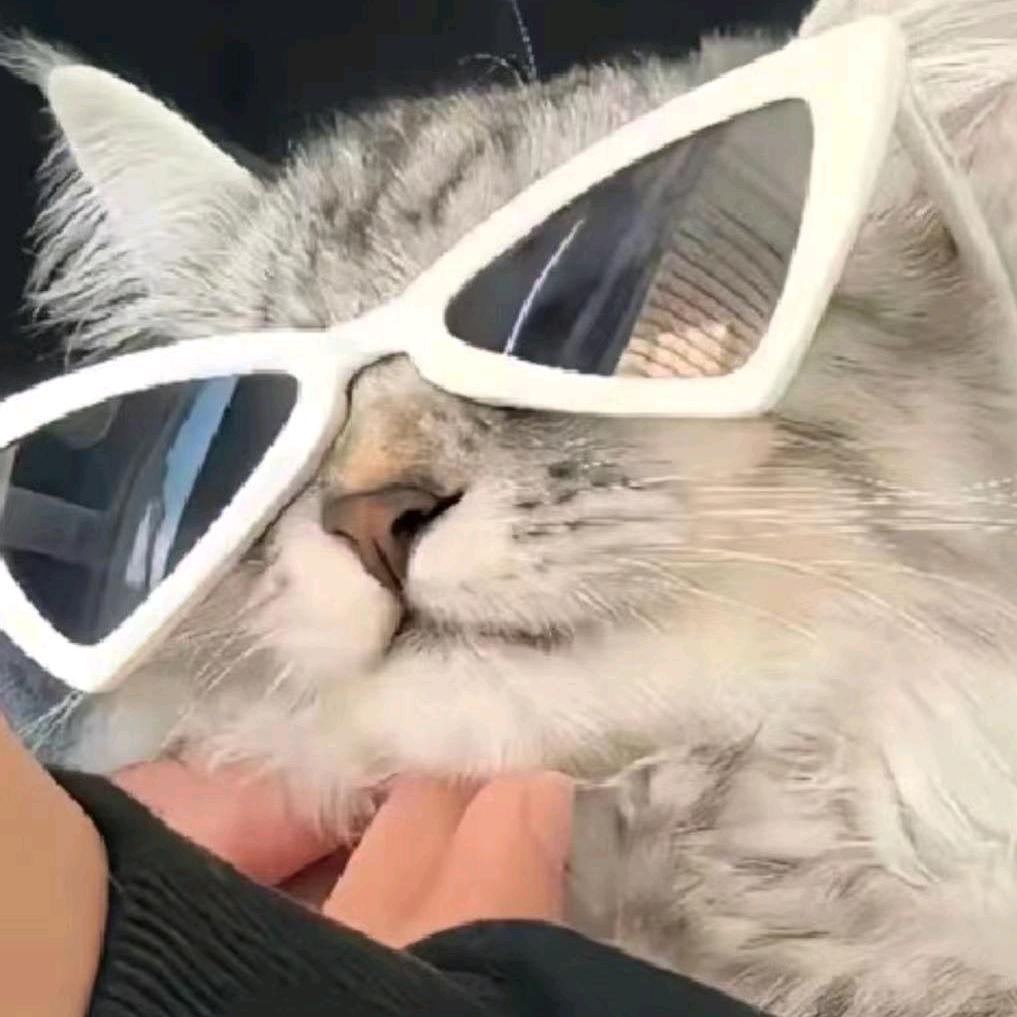 乘希电竞考官理智