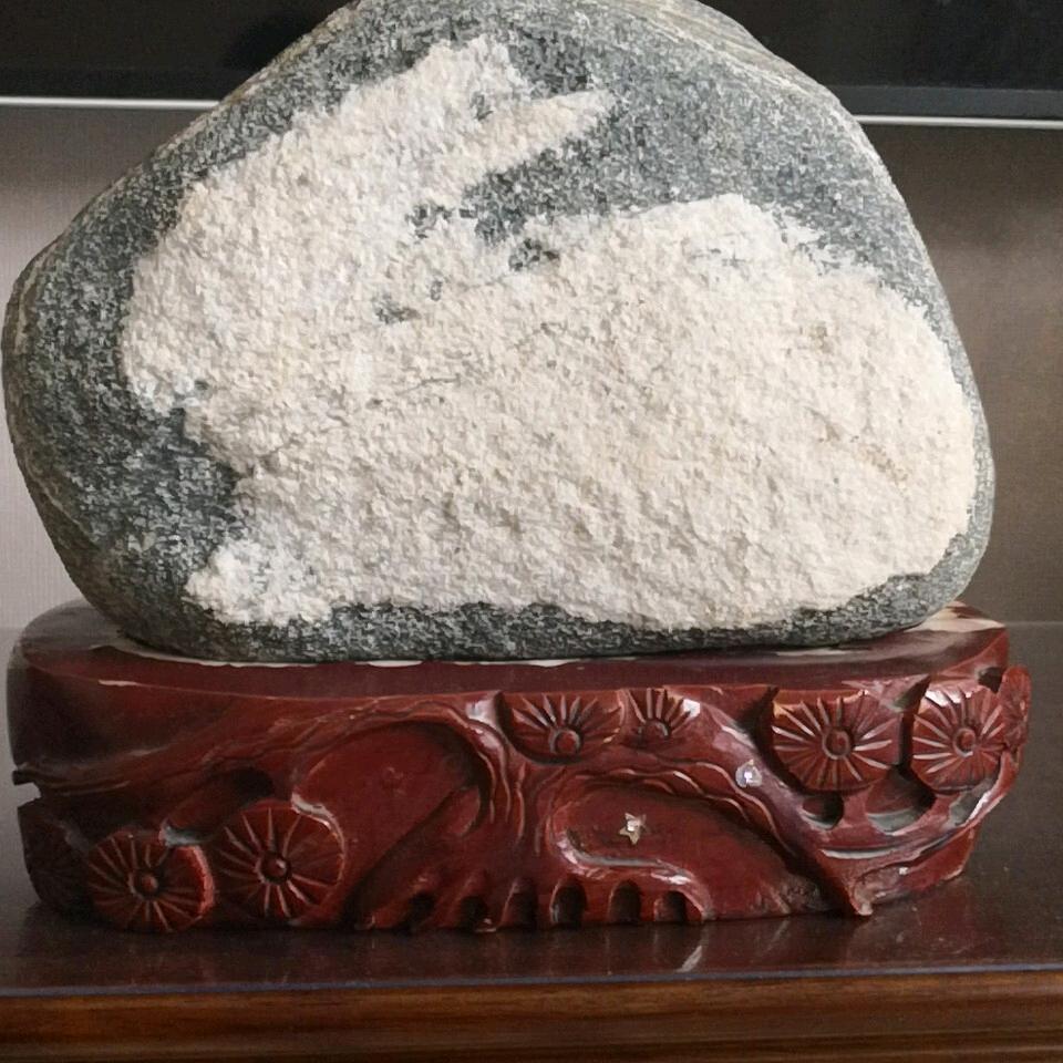 贤良(75年兔子)