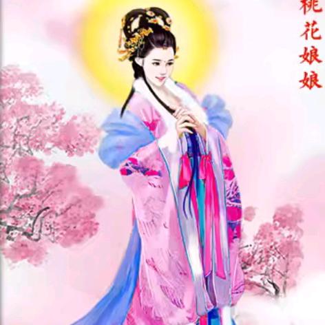 善谋娘子妙手疗愈（收徒）