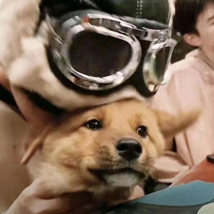 咕噜咕噜多