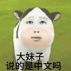 我服了喵