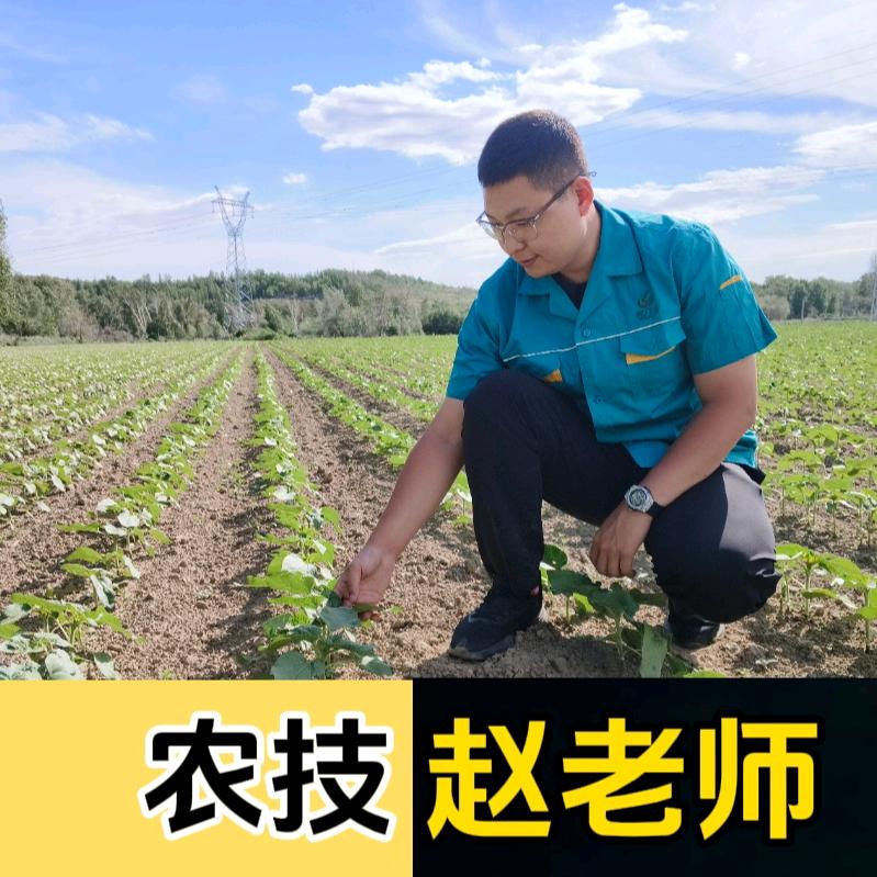 小赵说农儿（根力多）