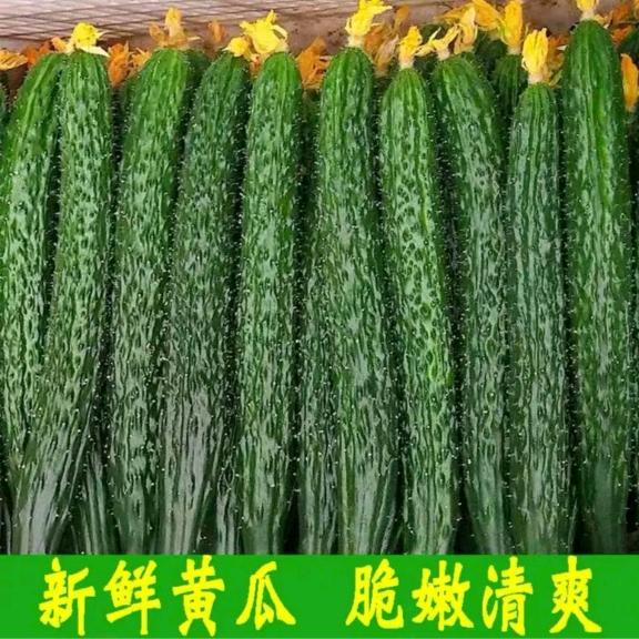 每日鲜果蔬