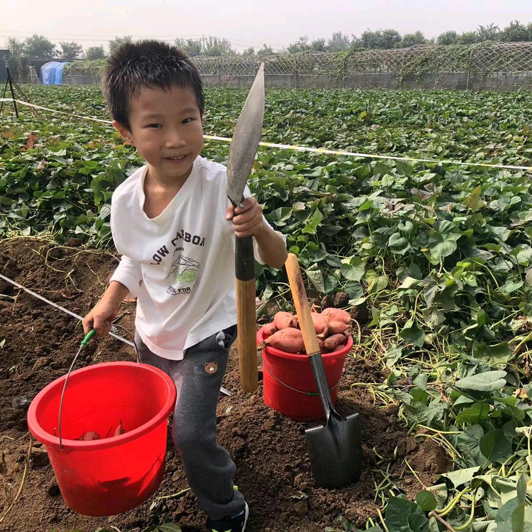 我期待的不是雪🌨️