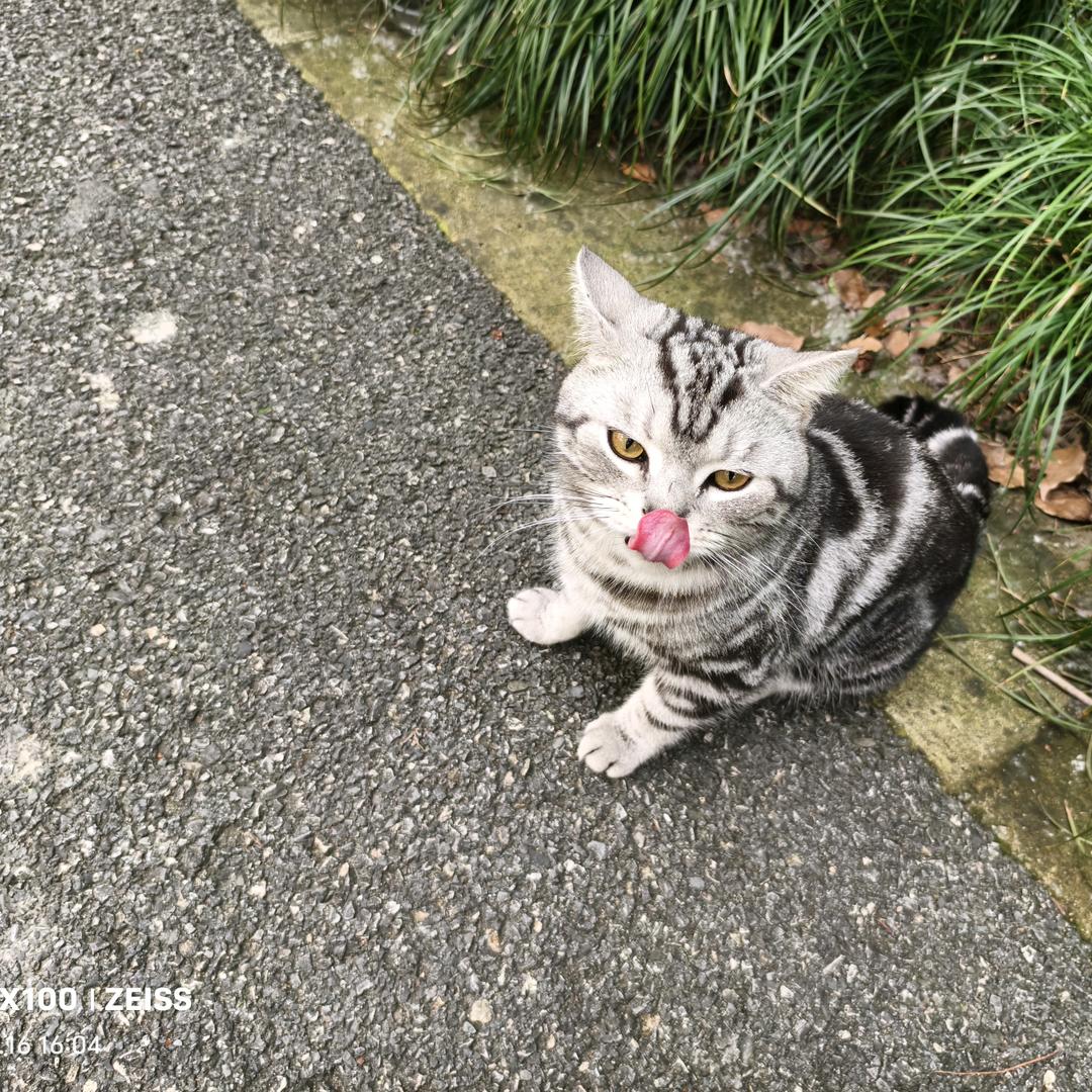 哈哈哈哈哈哈哈哈