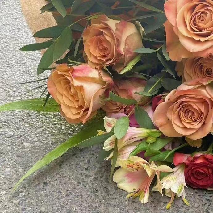 爱美衣的小姐姐