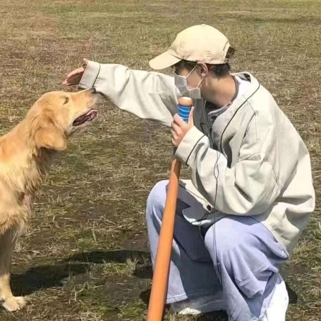 乱七八糟的洋芋