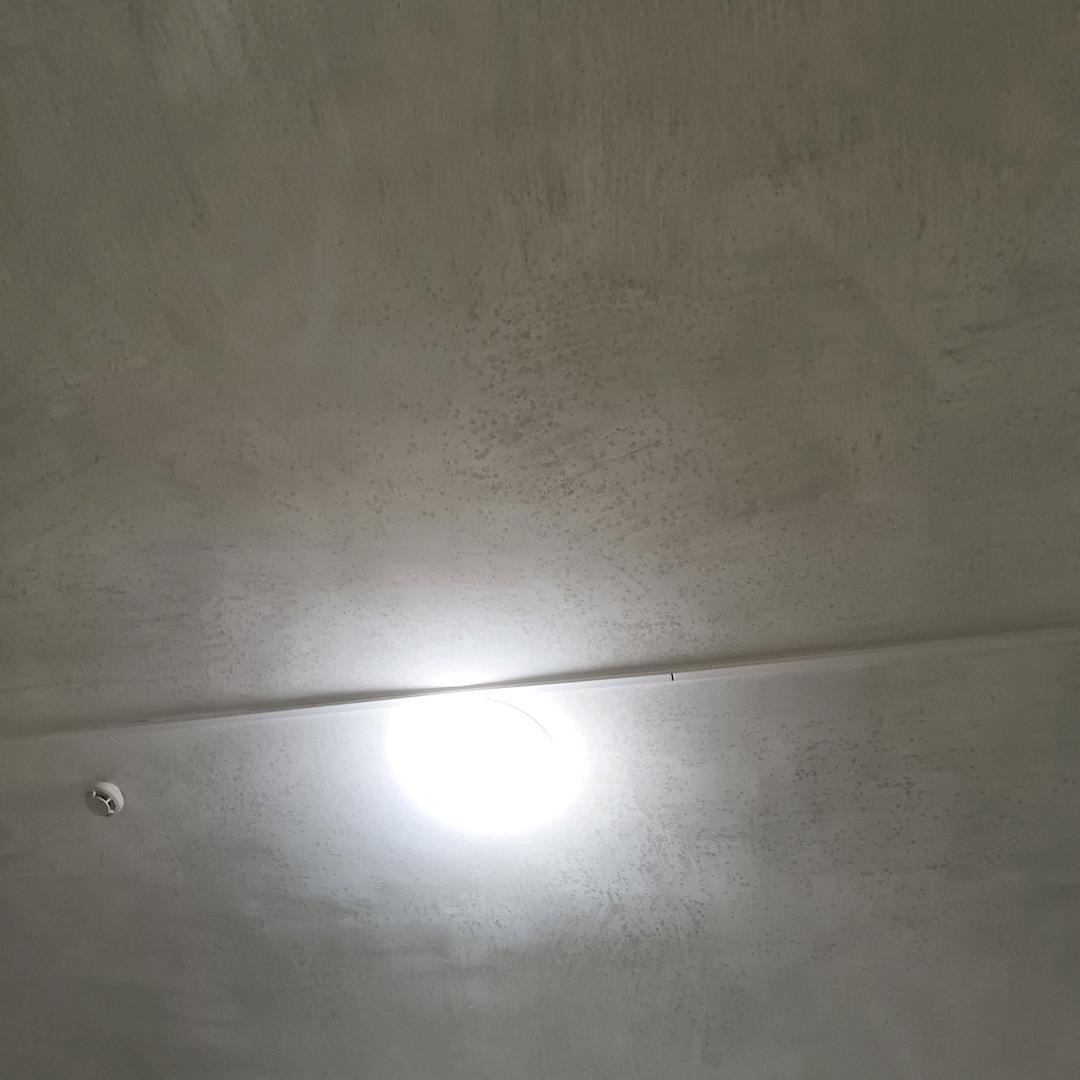 莫莫莫